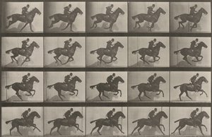  - Eadweard Muybridge