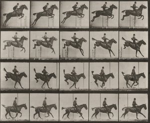  - Eadweard Muybridge