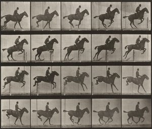  - Eadweard Muybridge
