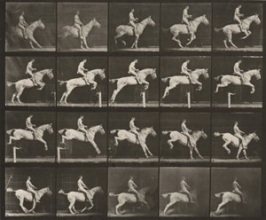  - Eadweard Muybridge