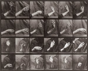 Séquence avec mouvement de la main, planche 535 de Locomotion animale