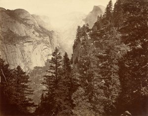 Canyon de Tenaya depuis Union Point, vallée du Yosemite - Eadweard Muybridge