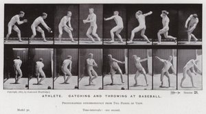La Figure Humaine en Mouvement : Athlète, attraper et lancer au baseball