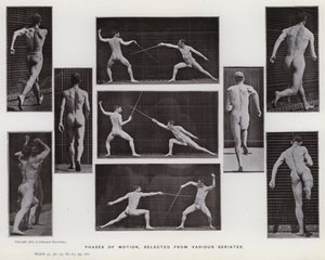 La Figure Humaine en Mouvement : Phases de mouvement, sélectionnées de diverses séries