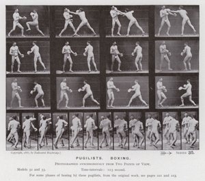 La figure humaine en mouvement : Pugilistes, boxe - Eadweard Muybridge