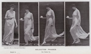 La figure humaine en mouvement : Phases sélectionnées