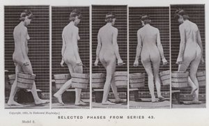 La Figure Humaine en Mouvement : Phases sélectionnées de la série 43