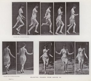 La figure humaine en mouvement : Phases sélectionnées de la série 53