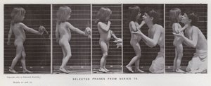 La figure humaine en mouvement : Phases sélectionnées de la série 79