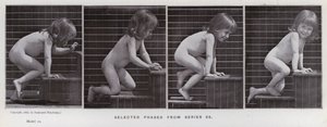 La figure humaine en mouvement : Phases sélectionnées de la série 86 - Eadweard Muybridge