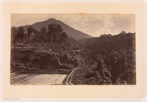 Volcan Zunil, Guatemala - Eadweard Muybridge