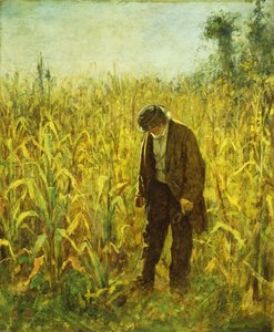 Homme dans un Champ de Maïs