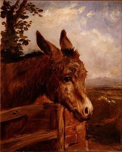 Un Âne à une Porte