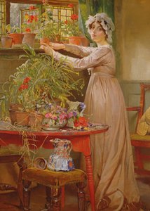 Arrangement de fleurs