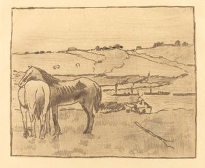 Chevaux dans la Prairie