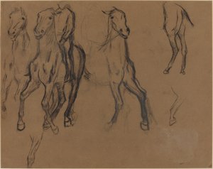 Étude de chevaux