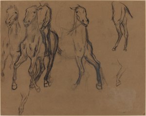 Étude de chevaux