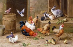 Amis de la ferme