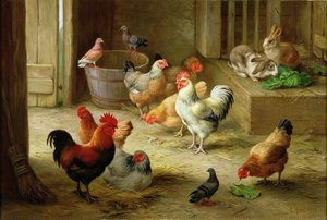 Scène de ferme