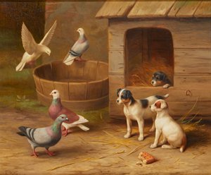 Chiots et pigeons