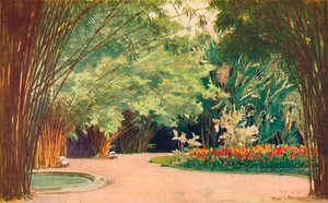 Une forêt de bambous - Jardins botaniques - Edgar L. Pattison
