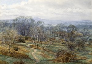Hampstead Heath regardant vers Harrow on the Hill, vers 1880 - Edith Martineau