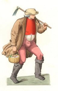 Laboureur français