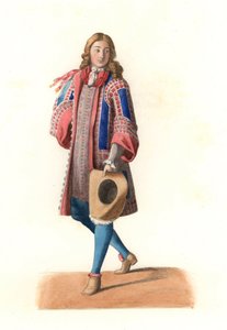 Valet de pied de la maison du roi