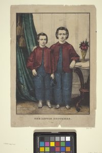 Les petits frères