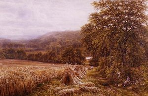Temps de récolte sur le Dart