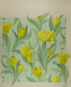 Tulipe