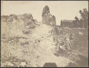 [Paysage rocheux] - Édouard Baldus