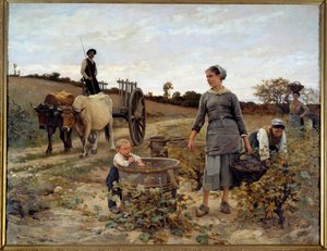 Coin de vigne en Languedoc. Peinture d