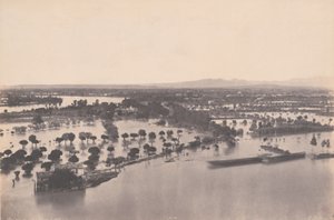Avignon (Inondation de 1856) - Edouard Denis Baldus