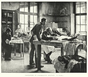Laboratoire d