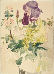 Bouquet avec iris, cytise et géranium