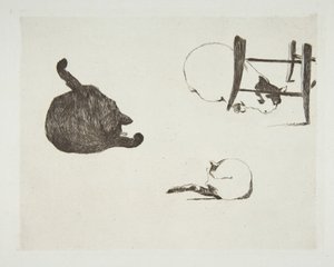 Chats - Édouard Manet