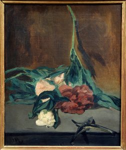 Pivoines tige et sécateur