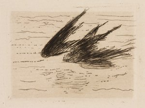 Hirondelles, planche 8 du Fleuve - Édouard Manet