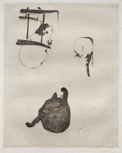 Les chats