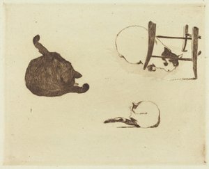 Les chats, 1869