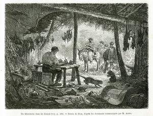 Un laboratoire de taxidermie dans la forêt vierge, dans la région des Llanos (Colombie). Gravure pour illustrer l
