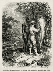 Apatou, guide et compagnon de voyage demande à l