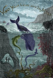 Gravure du livre de Jules Verne Vingt mille lieues sous les mers - Edouard Riou