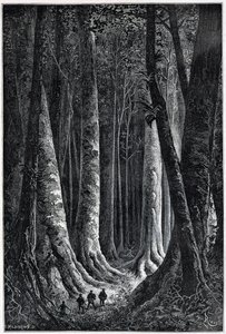 Forêt de Guyane française, dessin par Riou, «Le Tour du Monde», 2e semestre 1879 - Edouard Riou