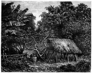 Guyane, Amérique du Sud, 19ème siècle - Edouard Riou