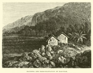 Hacienda et plantation de cacao de Tian-tian