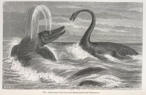 Scène idéale du lias avec Ichthyosaurus et Plesiosaurus - Edouard Riou