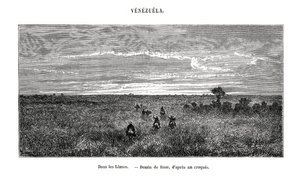 Los Llanos, Venezuela, 19e siècle