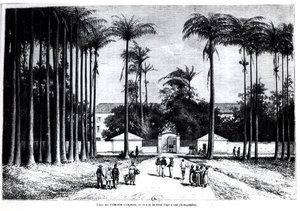 Place des Palmistes, Cayenne, Guyane - Edouard Riou